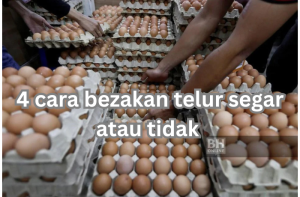 cara pastikan telur segar atau tidak
